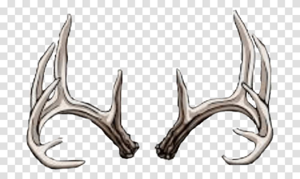 Deer Rack Deer Skull Line Art, Antler, Person, Human Transparent Png