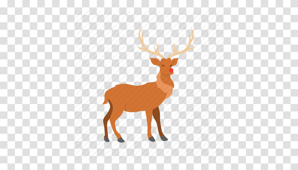 Deer Red Nose Reindeer Rudolph Icon, Antelope, Wildlife, Mammal, Animal Transparent Png
