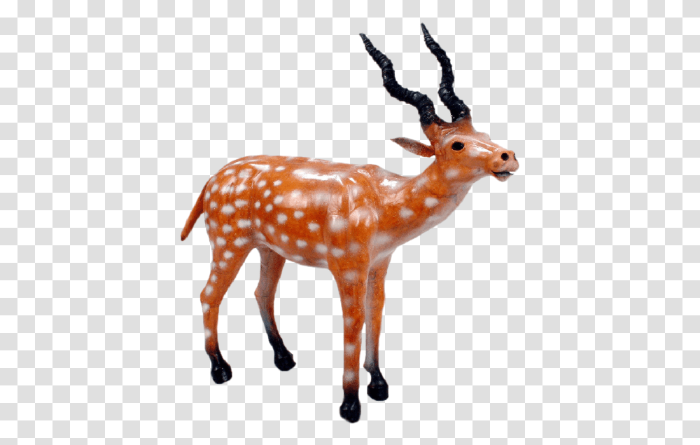 Deer Reindeer, Antelope, Wildlife, Mammal, Animal Transparent Png