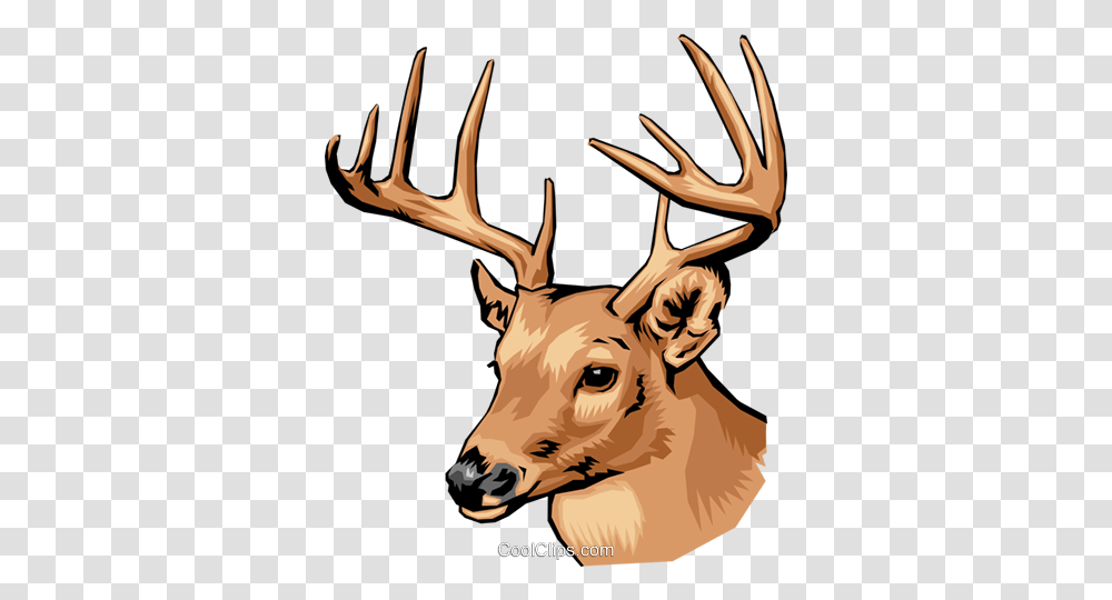 Deer Royalty Free Vector Clip Art Illustration, Elk, Wildlife, Mammal, Animal Transparent Png