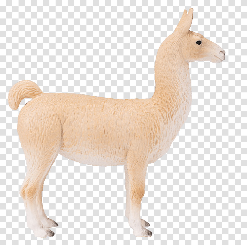 Deer, Sheep, Mammal, Animal, Bird Transparent Png