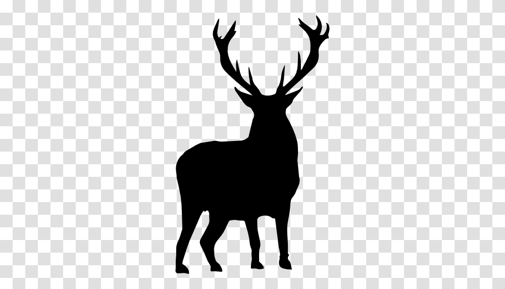 Deer Silhouette, Antelope, Wildlife, Mammal, Animal Transparent Png
