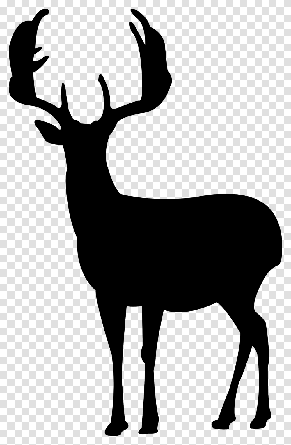 Deer Silhouette Canvas Print Deer Silhouette, Word, Logo Transparent Png