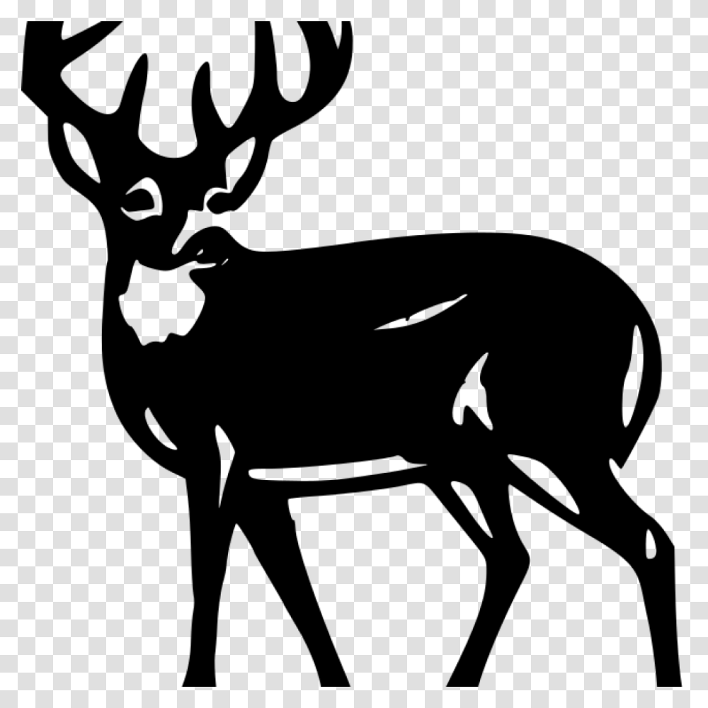 Deer Silhouette Clip Art Free Clipart Download, Gray, World Of Warcraft Transparent Png