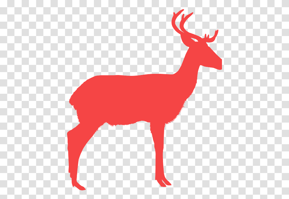 Deer Silhouette Color, Wildlife, Mammal, Animal, Elk Transparent Png