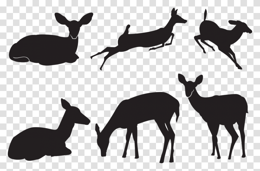 Deer, Silhouette, Mammal, Animal, Wildlife Transparent Png