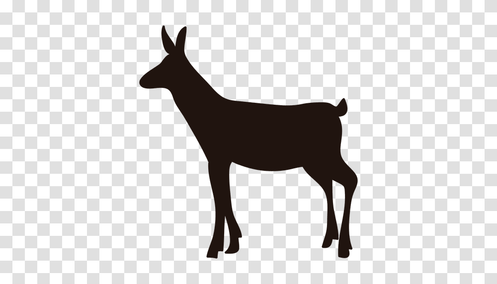 Deer Silhouette Standing, Mammal, Animal, Wildlife, Horse Transparent Png