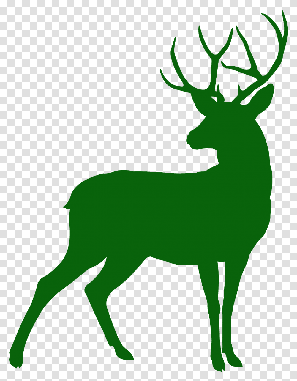 Deer Silhouette, Wildlife, Mammal, Animal, Elk Transparent Png