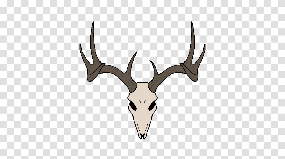 Deer Skull, Antler, Antelope, Wildlife, Mammal Transparent Png
