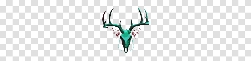 Deer Skull, Antler, Wildlife, Mammal, Animal Transparent Png