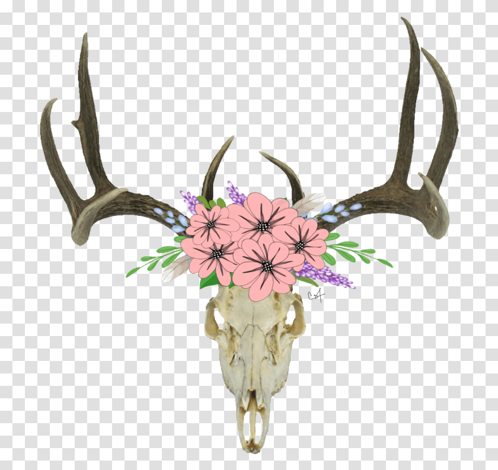 Deer Skull Background Cartoon Deer Skull With Flowers, Antler, Plant, Blossom Transparent Png
