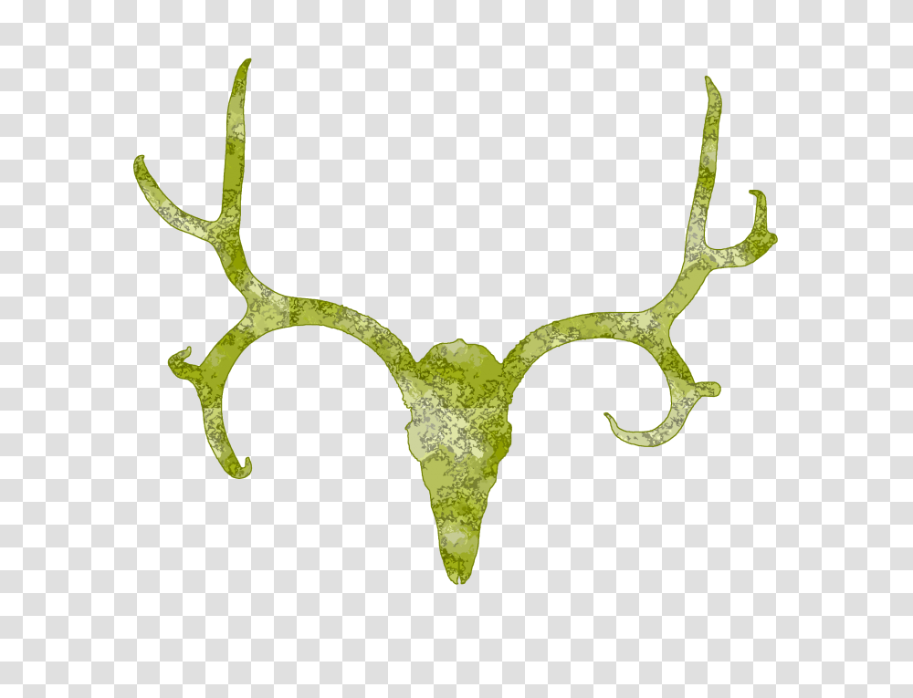 Deer Skull Clip Art Graphics Free Image, Green, Cross Transparent Png