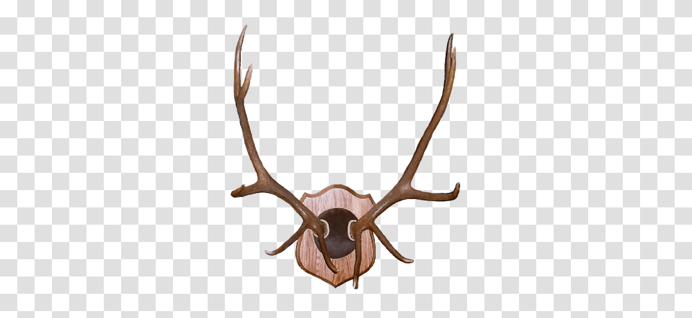 Deer Skull Clipart, Antler Transparent Png