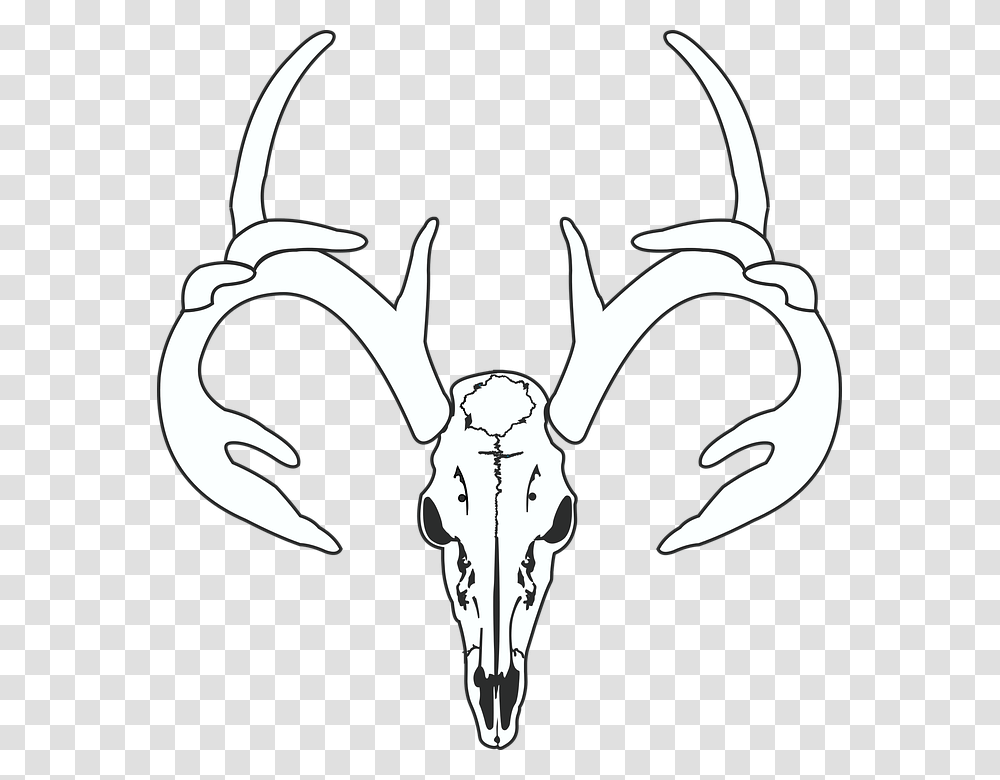 Deer Skull Hunt Hunting Taxidermy European Mount Gambar Logo Kepala Rusa, Stencil, Label Transparent Png