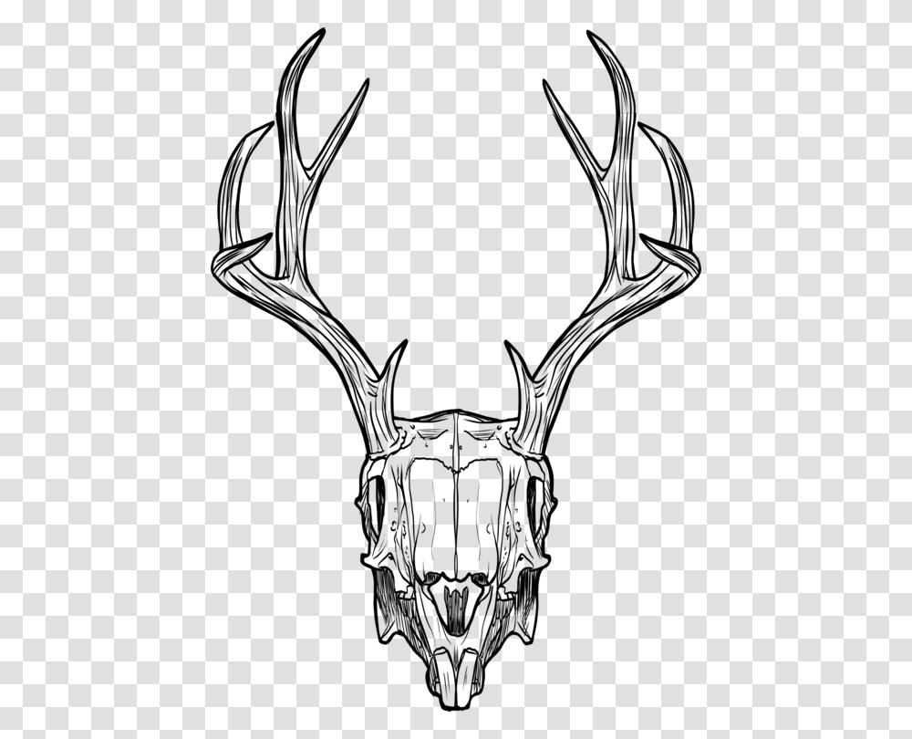 Deer Skull With Flowers Wallpaper, Gray, World Of Warcraft Transparent Png