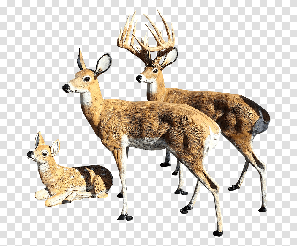 Deer Statues Outdoor Decoration For Your Yard For Sale Deer Statues For Yard, Antelope, Wildlife, Mammal, Animal Transparent Png