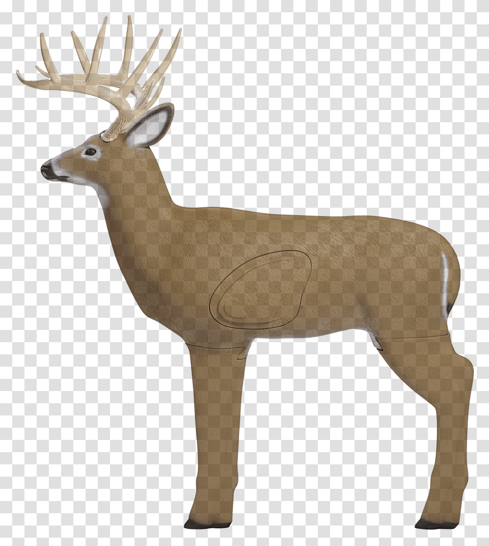 Deer Target, Elk, Wildlife, Mammal, Animal Transparent Png