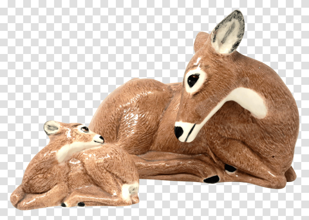 Deer Transparent Png