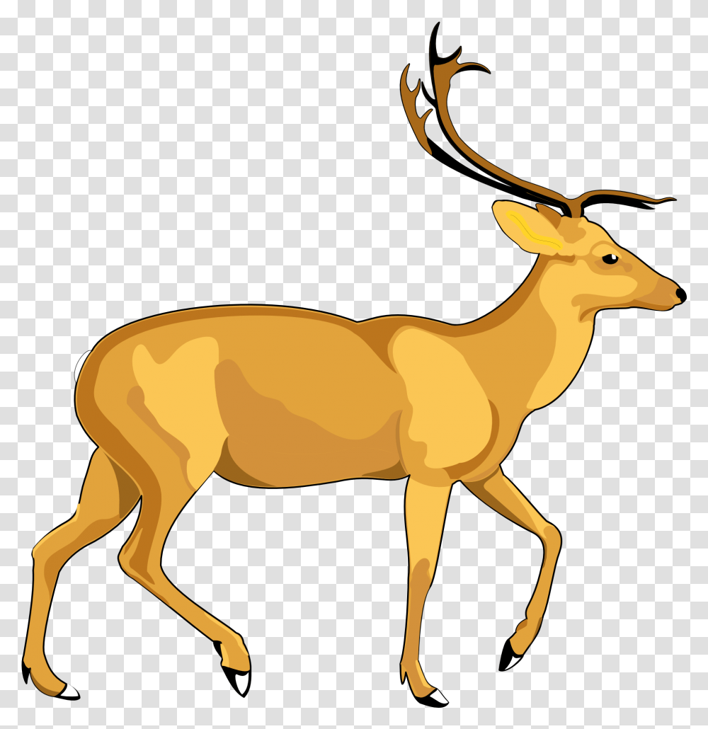Deer Vector Image Deer Vector, Antelope, Wildlife, Mammal, Animal Transparent Png