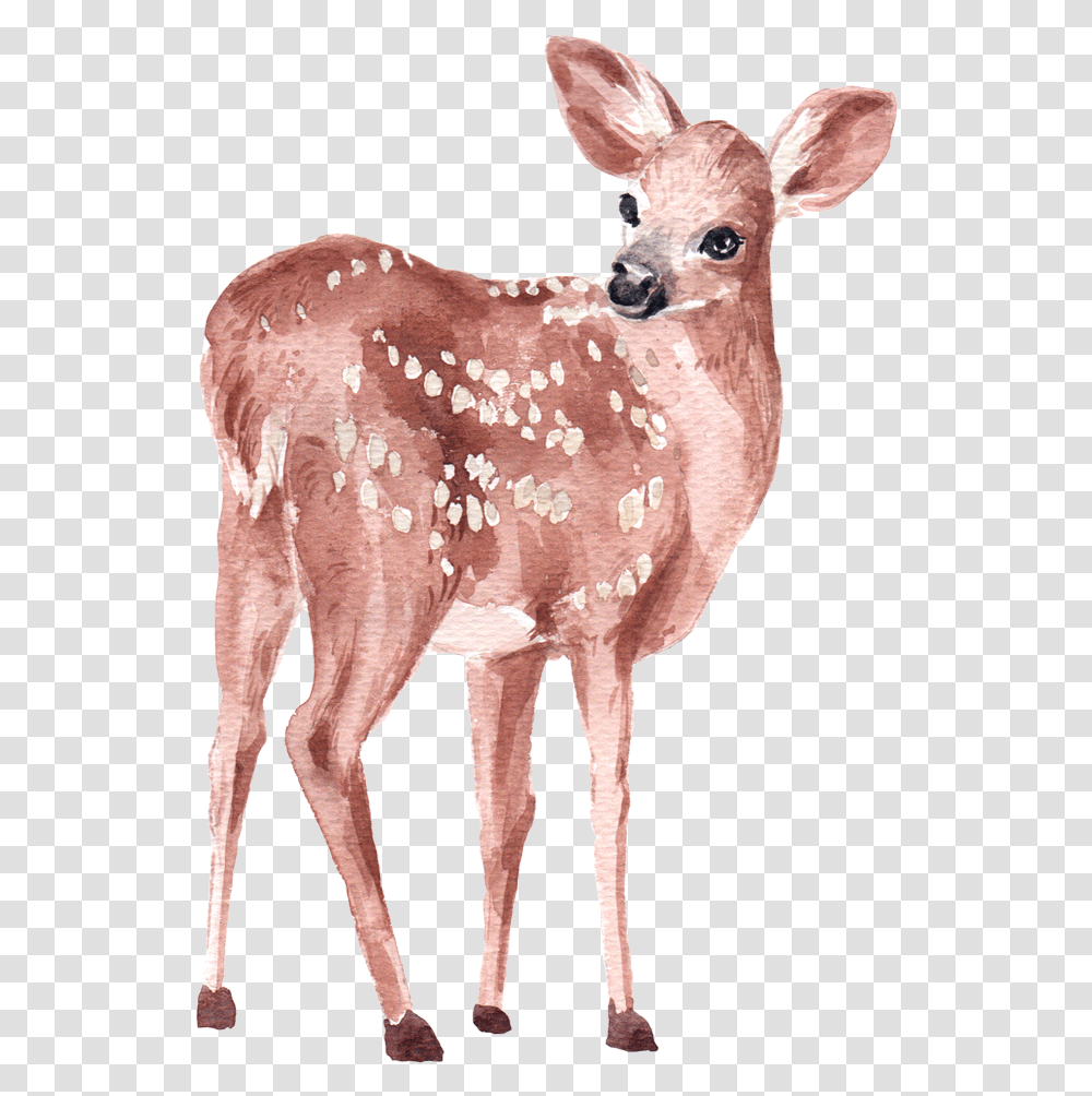 Deer Watercolor Element By We Studio Deer Watercolor, Animal, Wildlife, Mammal, Elk Transparent Png