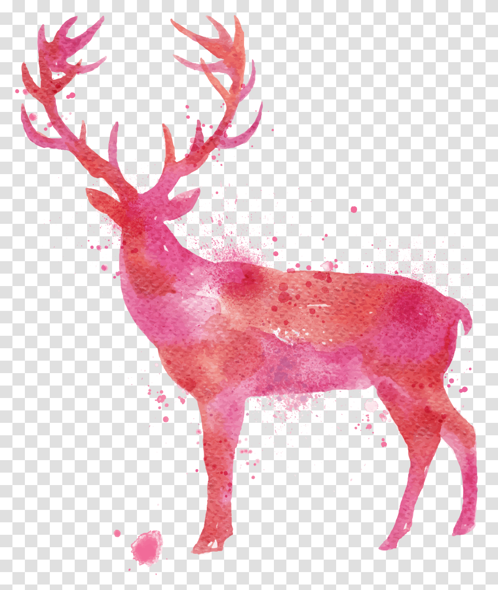 Deer Watercolor Painting Drawing Animal Vector Deer, Wildlife, Mammal, Elk Transparent Png