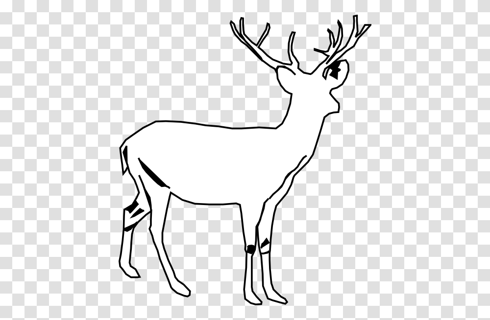 Deer White Clip Art, Antelope, Wildlife, Mammal, Animal Transparent Png