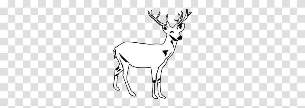 Deer White Clip Art, Wildlife, Mammal, Animal, Elk Transparent Png