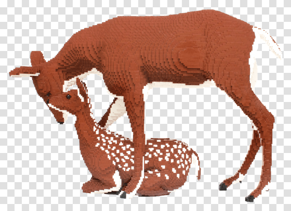 Deer, Wildlife, Animal, Mammal, Cougar Transparent Png