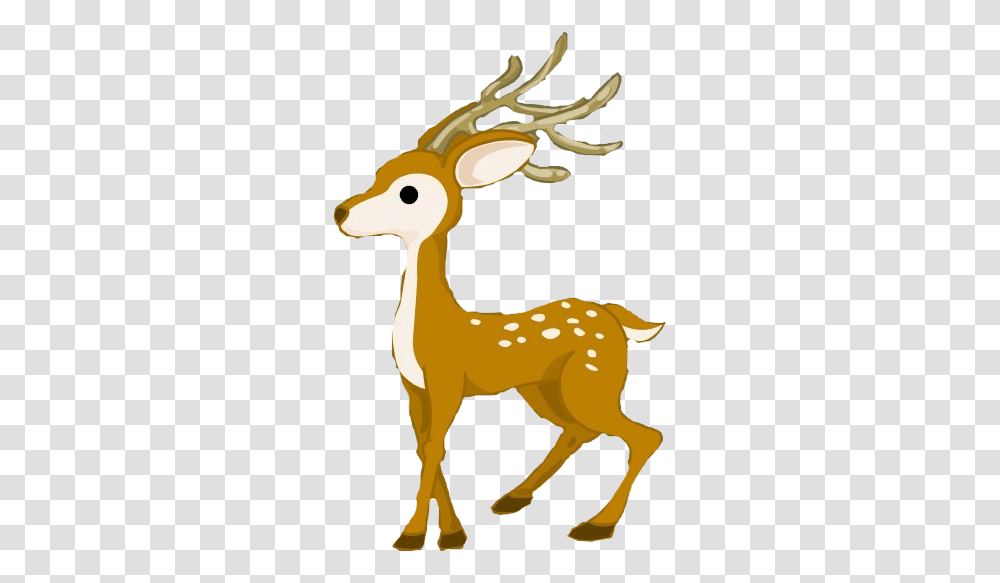 Deer, Wildlife, Mammal, Animal Transparent Png