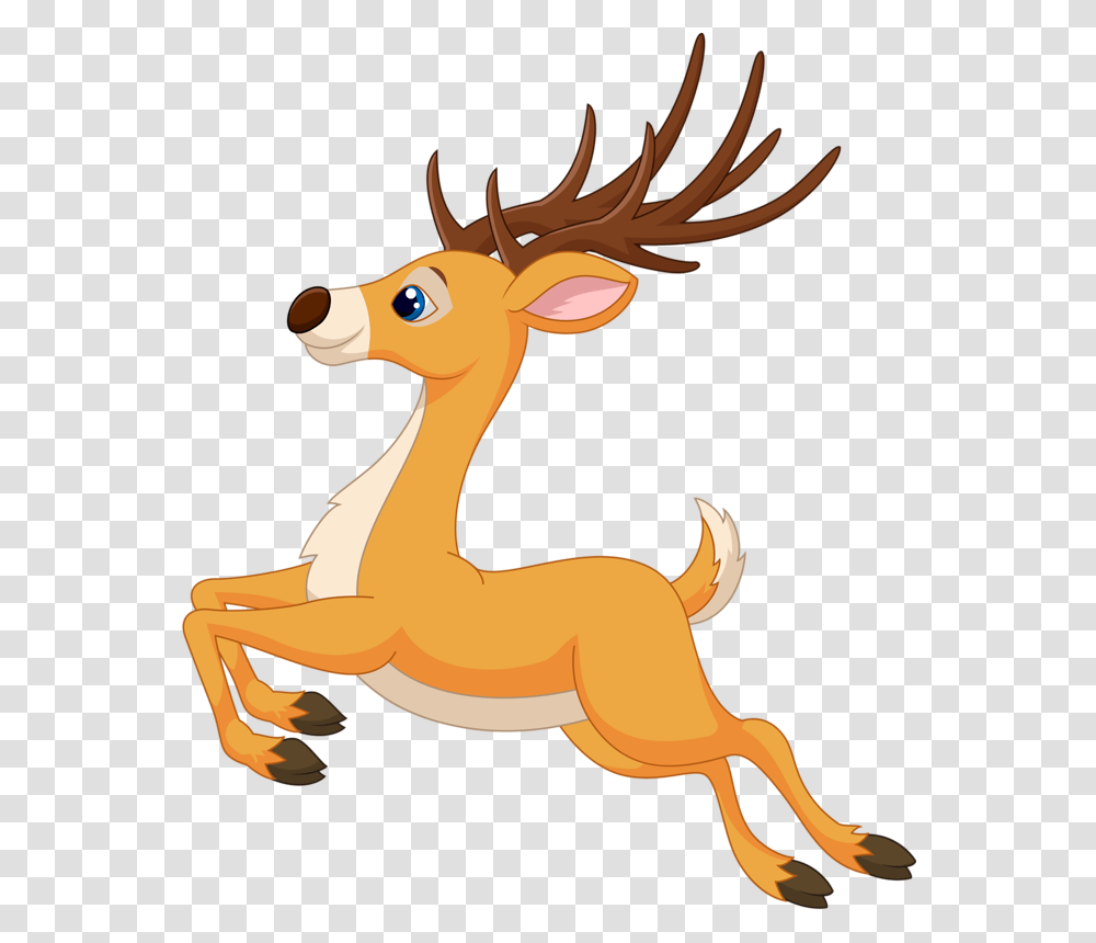 Deer, Wildlife, Mammal, Animal Transparent Png