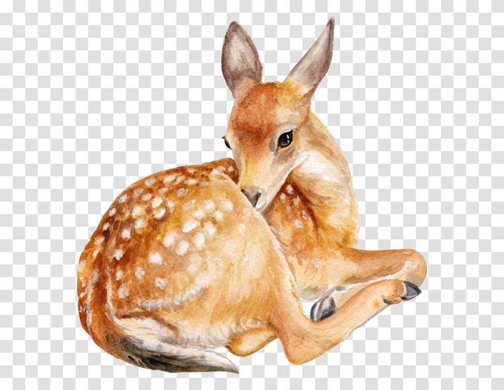 Deerfawnroe Deeranimal Figurewildlifefigurine Background Deer, Mammal, Antelope, Giraffe, Kangaroo Transparent Png