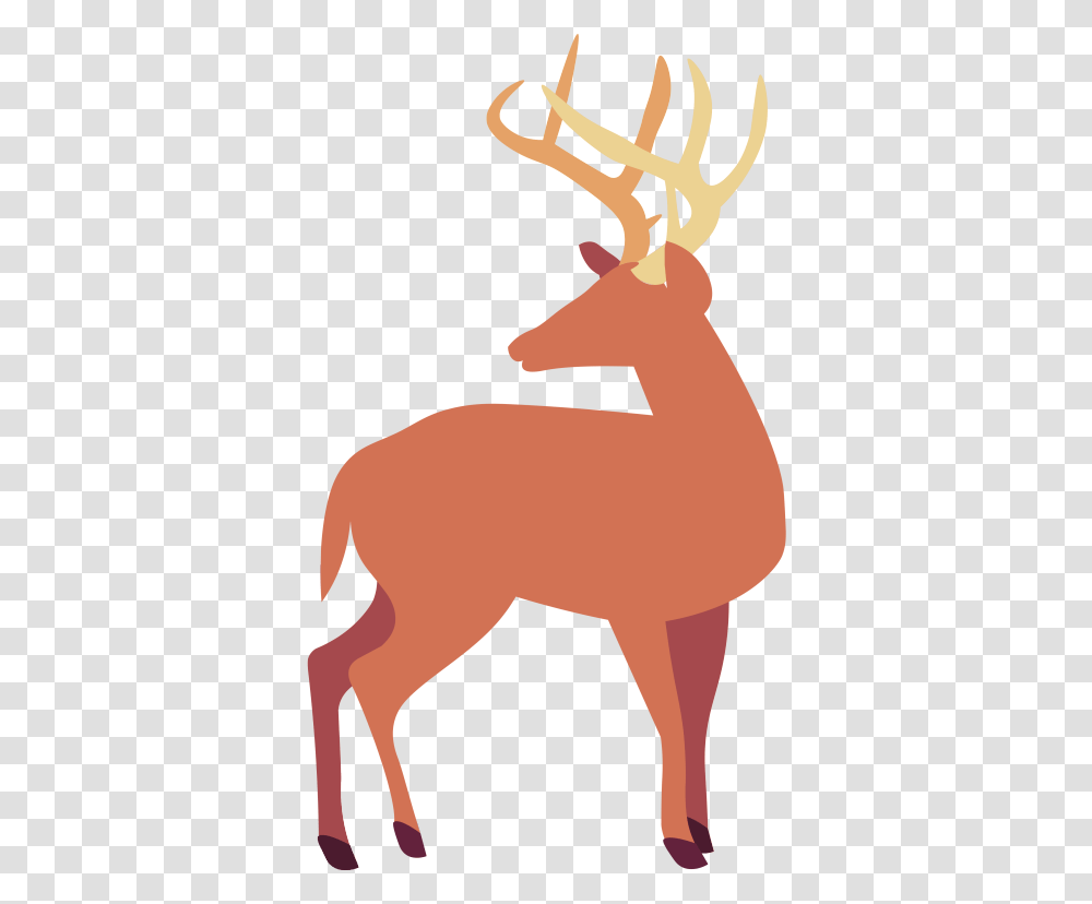 Deers Are Such Majestic Animalsget The Sticker Here Elk, Mammal, Wildlife, Kangaroo, Wallaby Transparent Png