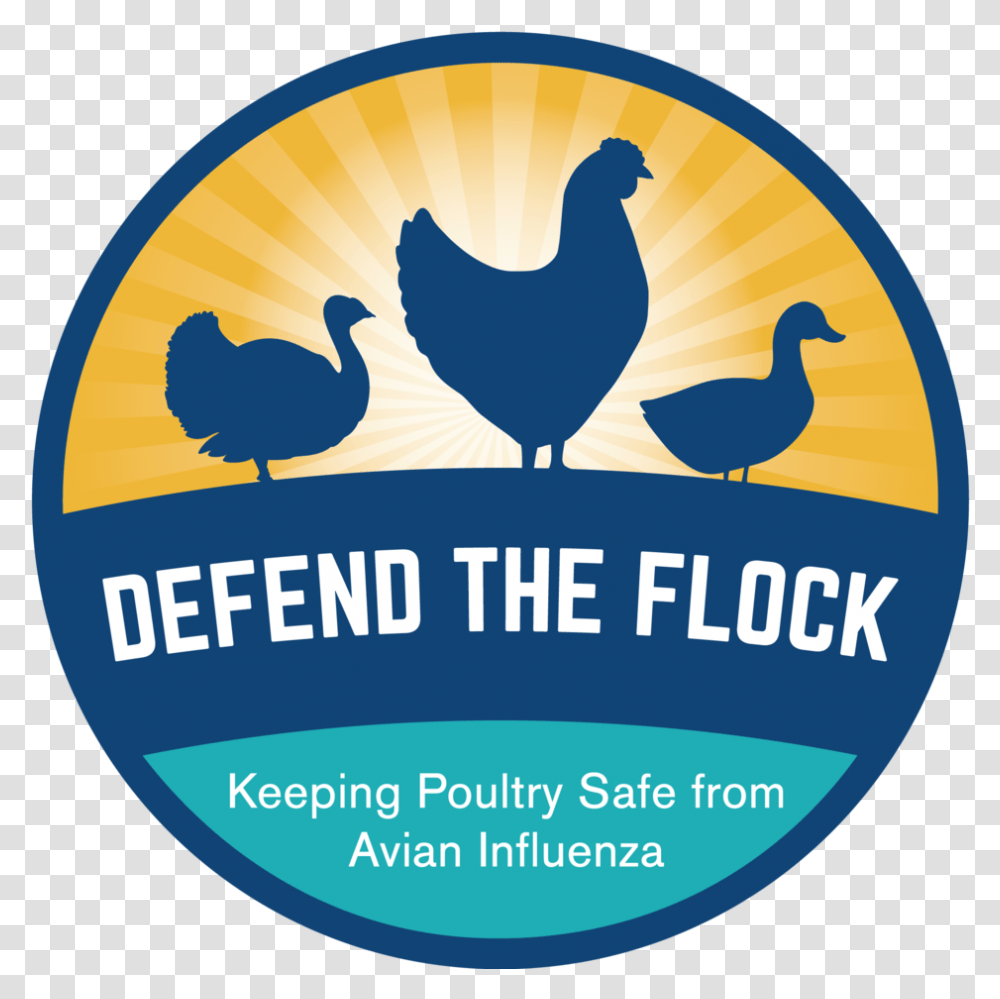 Defend The Flock Logo Generic Rooster, Bird, Animal, Fowl, Poultry Transparent Png