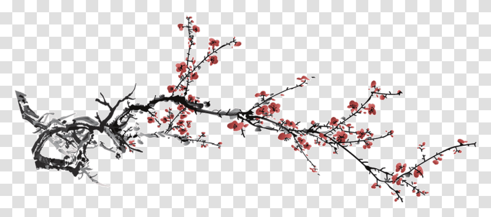 Definition File V Chinese Flowers, Plant, Blossom, Cherry Blossom, Petal Transparent Png