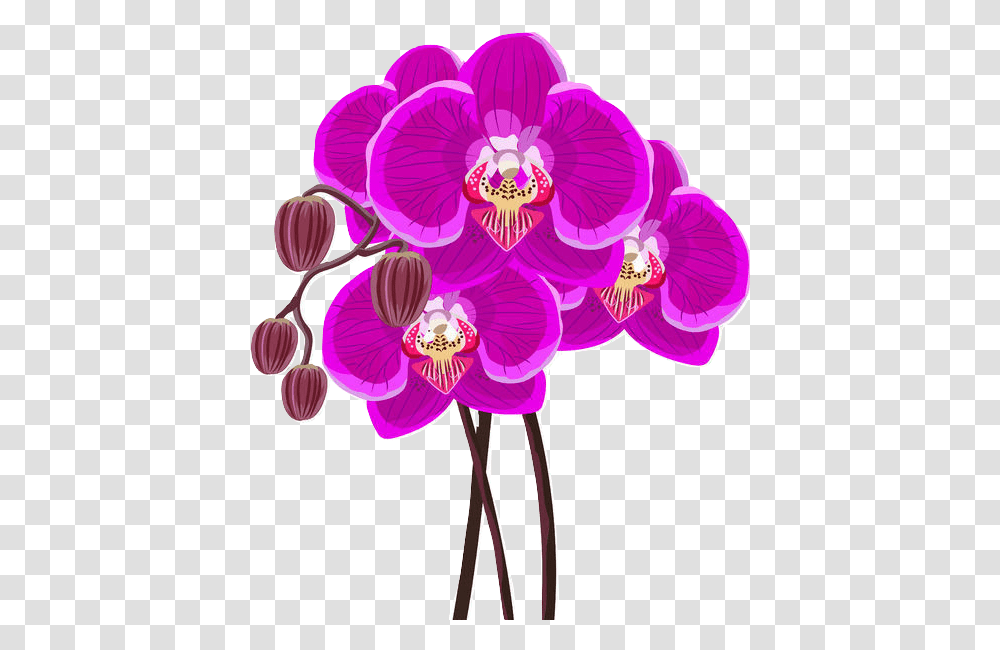 Definitive Orchid L Orchidea Logo, Plant, Flower, Blossom, Purple Transparent Png