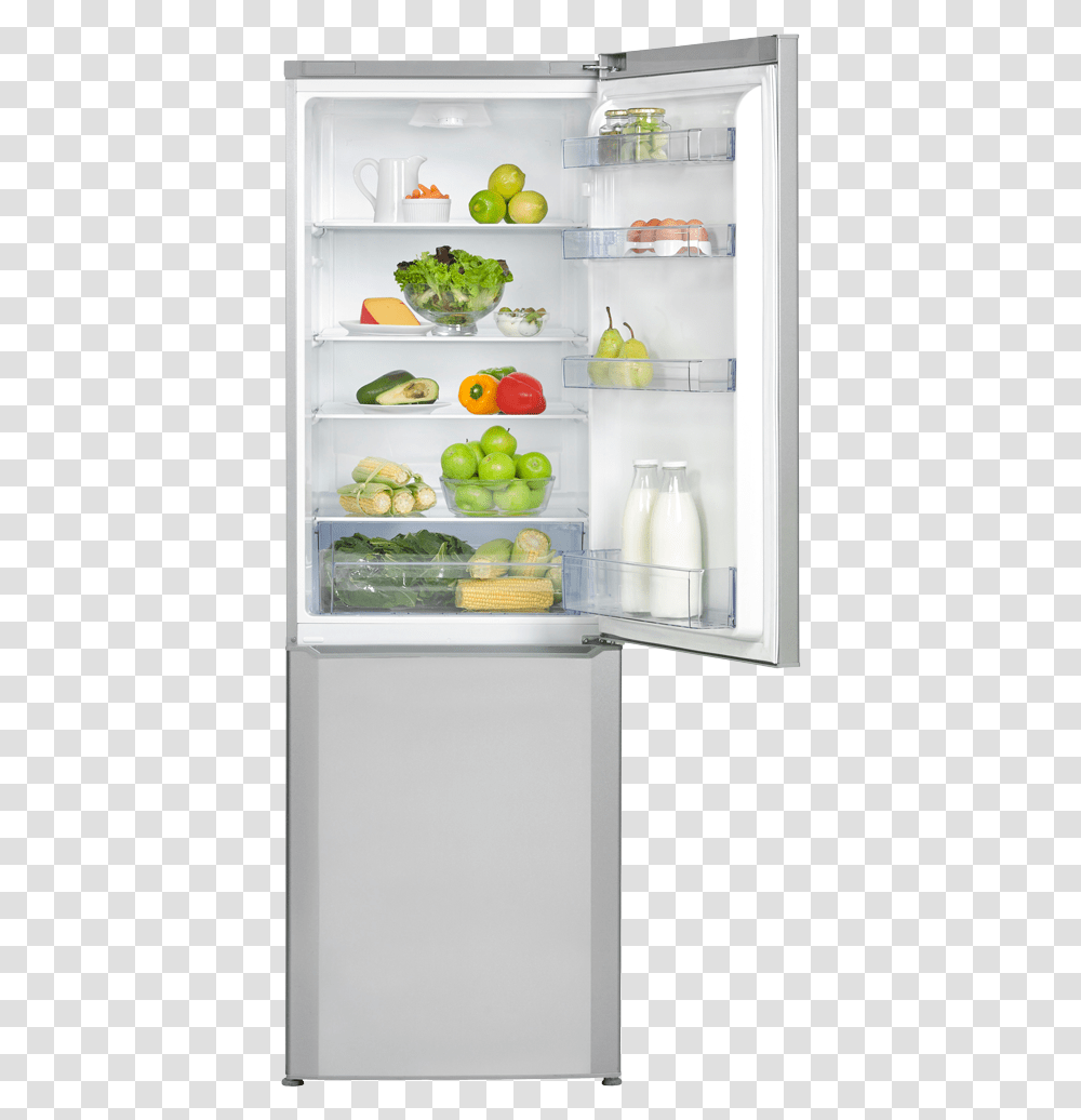 Defy C385 Double Door Fridge Dac512 Defy, Refrigerator, Appliance, Plant, Shelf Transparent Png