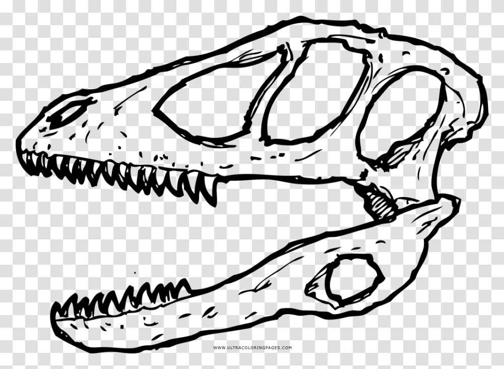 Deinonychus Skull Coloring, Gray, World Of Warcraft Transparent Png