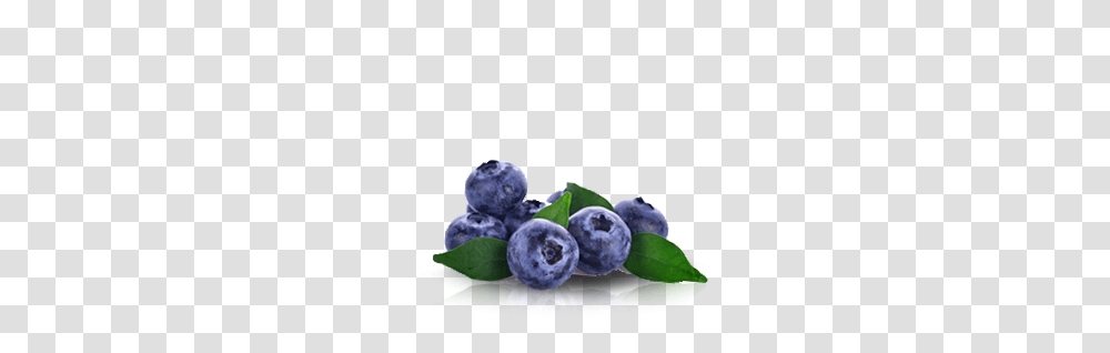 Del Monte Europe Fresh Produce Bluberries Del Monte Blueberries, Blueberry, Fruit, Plant, Food Transparent Png