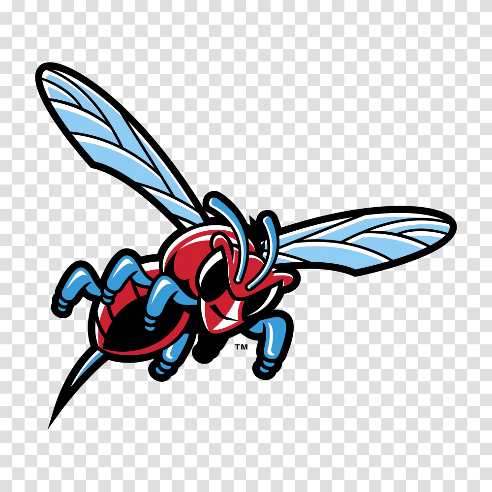 Delaware State Hornets Logo Vector, Wasp, Bee, Insect, Invertebrate Transparent Png