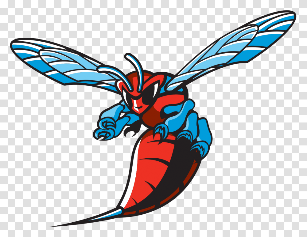 Delaware State Hornets, Wasp, Bee, Insect, Invertebrate Transparent Png
