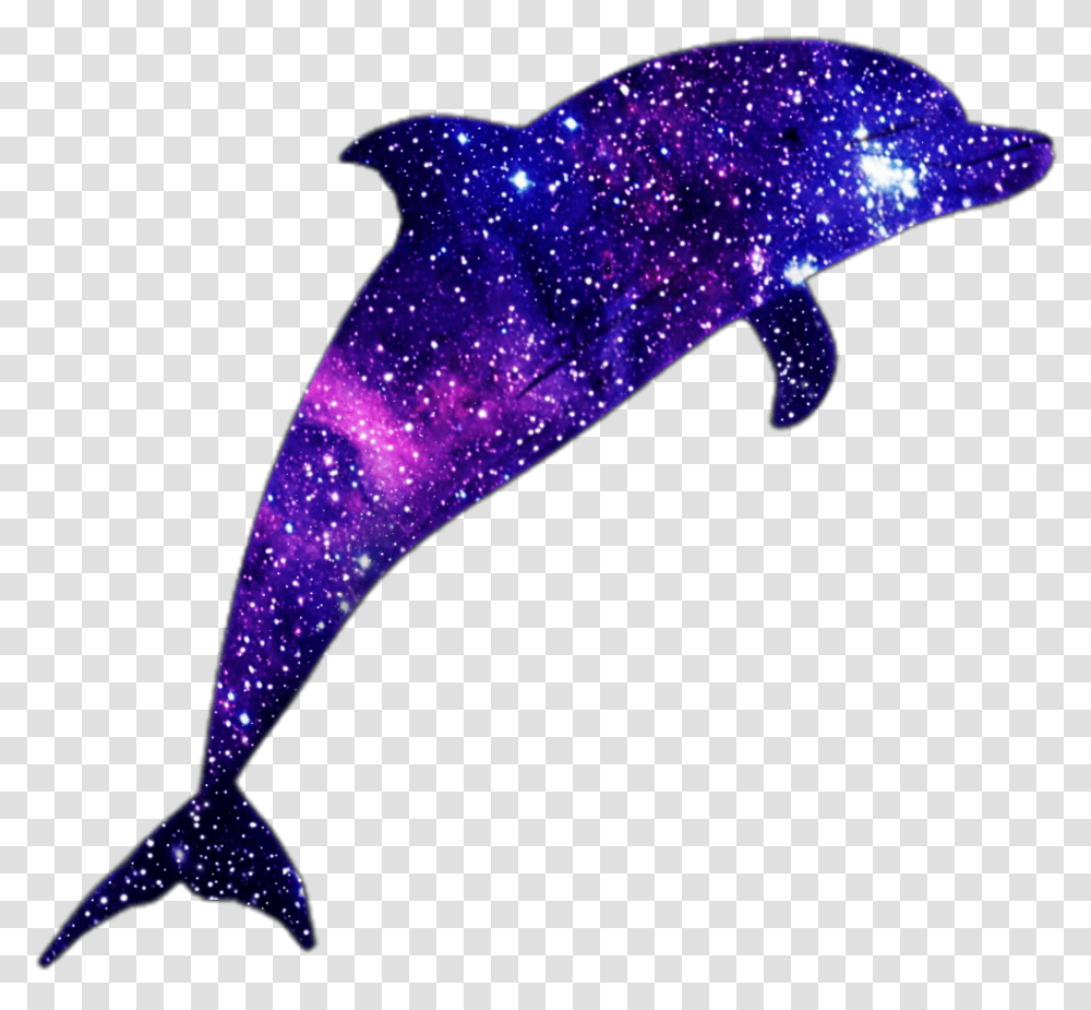 Delfin Clipart, Animal, Sea Life, Mammal, Dolphin Transparent Png