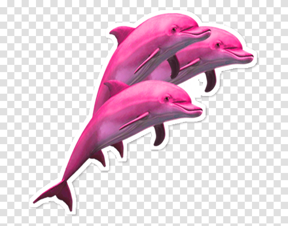 Delfin Dolphin Dolphins Pink Rosa Vaporwave Aesthetic Dolphin, Mammal, Sea Life, Animal Transparent Png