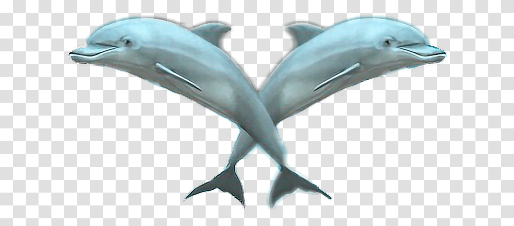 Delfins Vaporwave Aesthetics Aestheticedit Vapor Tumblr, Dolphin, Mammal, Sea Life, Animal Transparent Png