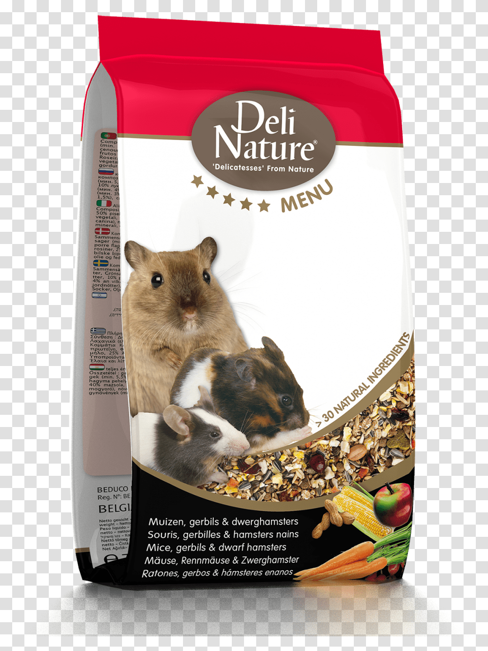 Deli Nature, Mammal, Animal, Pet, Rodent Transparent Png