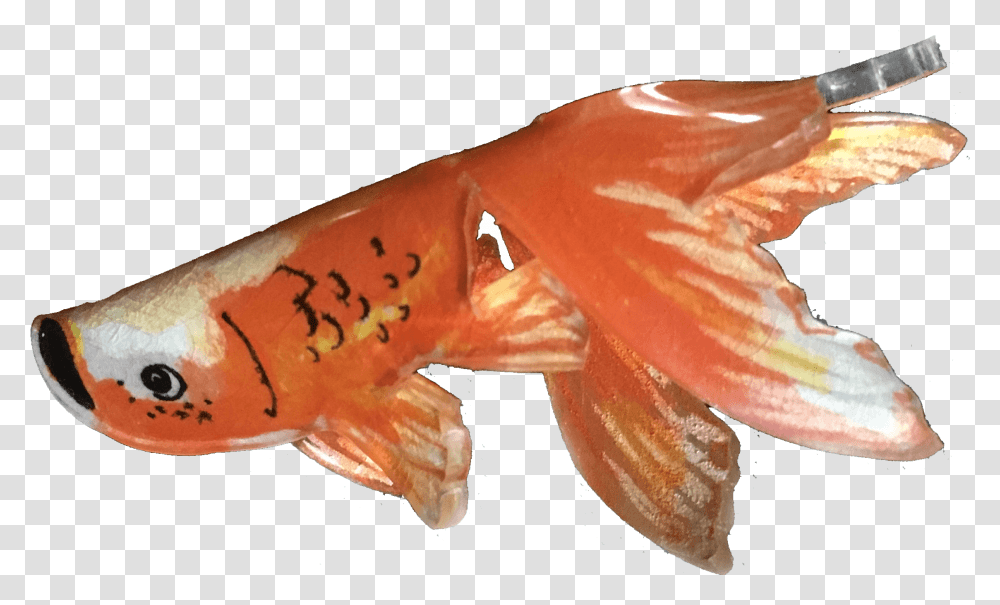 Deliberately Creative Something New Shrinky Dink Fish Patterns, Animal, Goldfish, Lobster, Seafood Transparent Png
