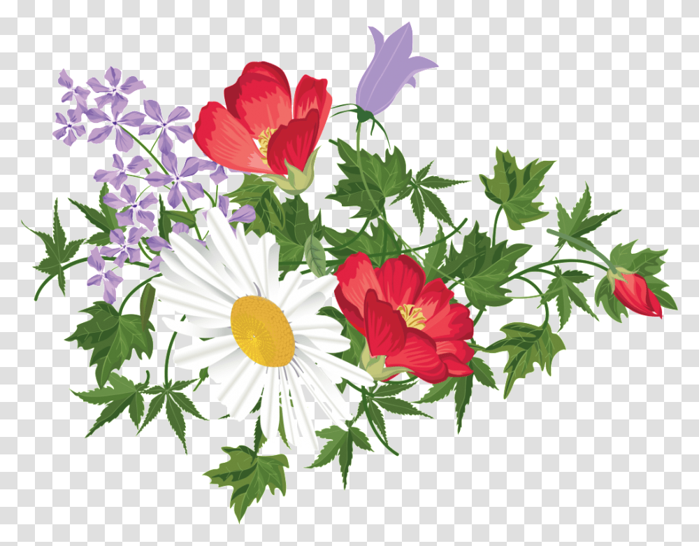 Delicate And Beautiful Big Red Hand Painted Chrysanthemum, Plant, Flower, Blossom, Daisy Transparent Png