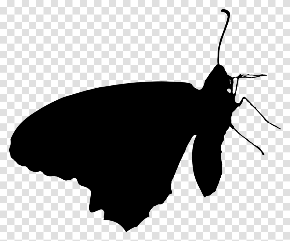 Delicate Butterfly Silhouette Butterfly, Gray, World Of Warcraft Transparent Png