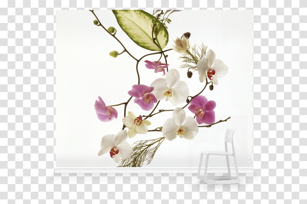Delicate Flowers, Plant, Vase, Jar, Pottery Transparent Png