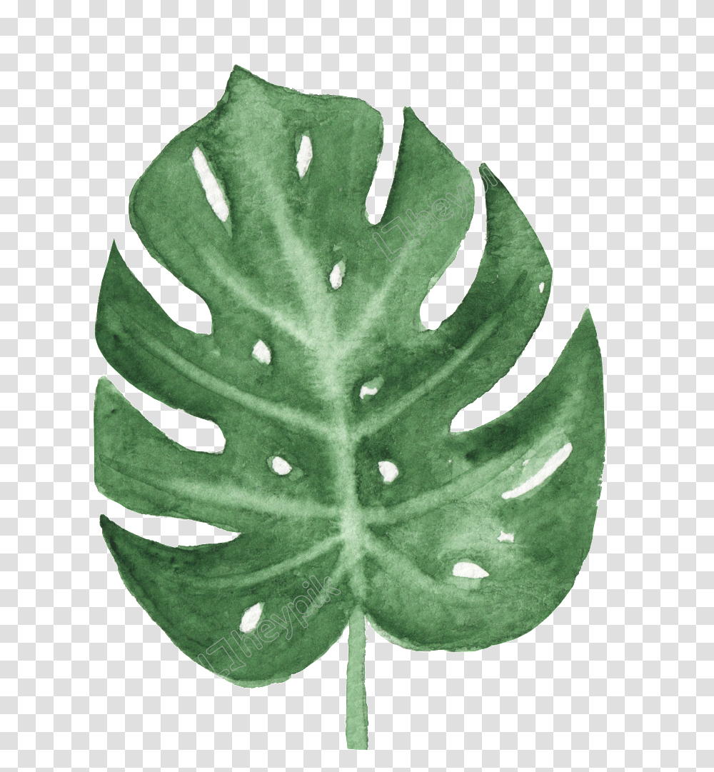 Deliciosatreeflower Leaf Background, Plant, Fern, Veins, Droplet Transparent Png