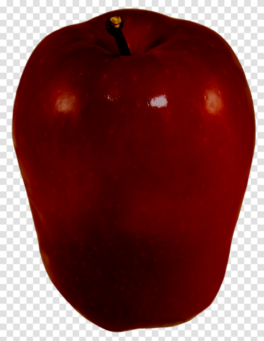 Delicious Apple, Plant, Fruit, Food, Bird Transparent Png